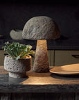 A stone-textured, mushroom-shaped lamp glows gently beside an Abigail Ahern Artificial Kalanchoe in a matching pot on a rustic table, complemented by a beige plate and set against a dark kitchen background.