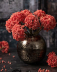 The Abigail Ahern Sedum Coral features vibrant red-orange artificial flowers with clustered petals, arranged in a round, bronze-colored vase on a dark surface, with scattered blooms and scissors against a moody, textured backdrop.