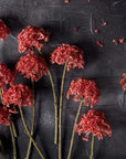 Sedum Coral by Abigail Ahern features red clusters of artificial flowers on long, thin stems, arranged against a textured dark gray background with a few small flower fragments nearby.