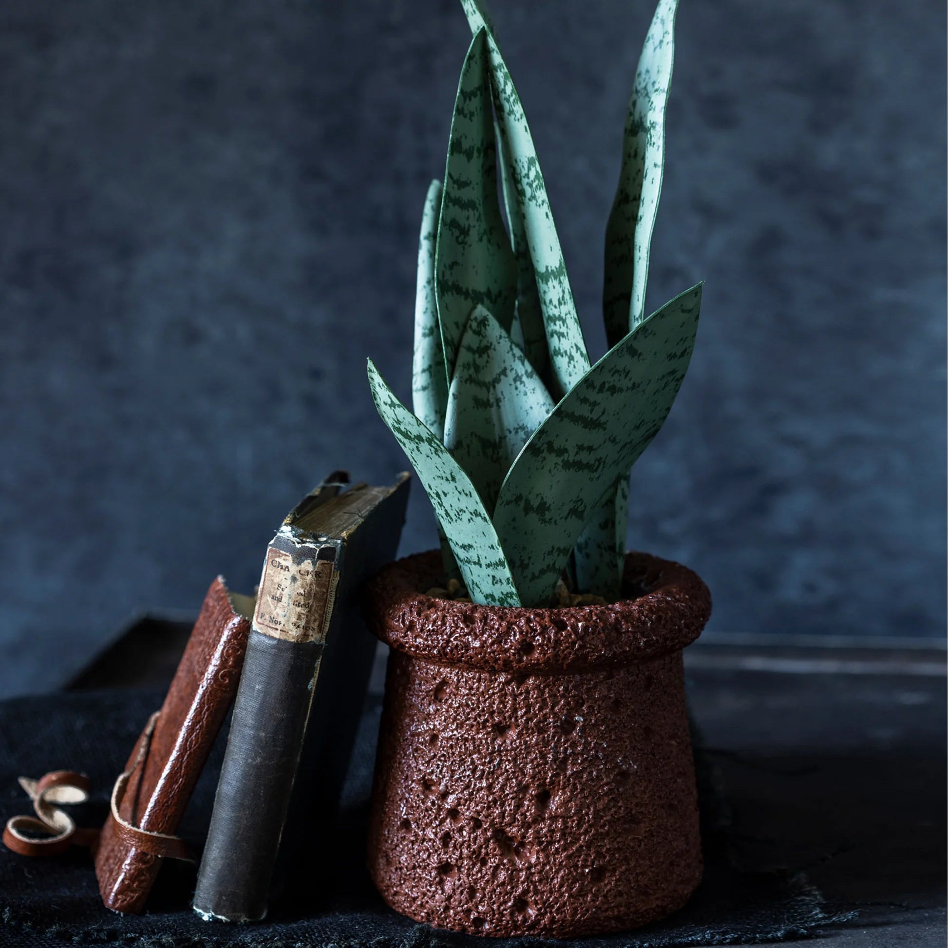 The Abigail Ahern artificial snake plant in pot, designed to look realistic and low-maintenance, sits beside two vintage books on a dark surface against a textured, dark background.