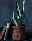 The Abigail Ahern artificial snake plant in pot, designed to look realistic and low-maintenance, sits beside two vintage books on a dark surface against a textured, dark background.