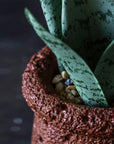 Close-up of the Abigail Ahern artificial snake plant, featuring realistic speckled leaves in a textured brown pot filled with small pebbles. The background is dark and blurred. Low-maintenance and stylish décor piece.