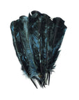Faire Feathers: Long, glossy black turkey feathers with subtle blue-green iridescence, fan-shaped and displayed on a white background.