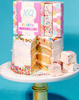 A white frosted funfetti cake with rainbow sprinkles sits on a gold stand, with slices and cubes cut out. Behind it is a pastel box of Faire Funfetti Marshmallows, which are allergy-friendly.