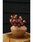 The Indaba Ranunculus Bouquet with vibrant red and yellow blooms is displayed in a round terracotta vase on a wooden surface, set against a dark background.