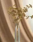 A clear glass vase displays the Meadow Grass Bouquet, Autumn by Indaba. Soft brown fabric draped to one side enhances the warm, minimalist autumn decor aesthetic with dried, delicate branches.