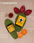 A flat lay shows Faire's Tangerine Cactus Body Polish with box, achiote seed powder, prickly pear fruit, and halved tangerines—the key exfoliant ingredients are achiote seed, prickly pear oils and fibers, and tangerine oil.