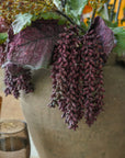 A close-up of Indaba's Dripping Seed Stem, featuring clusters of dark purple faux botanicals with lifelike greenery in a rustic ceramic vase, with a glass of drink partially visible in the foreground.