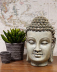 The Aeonium in Cement Pot by AllState Floral And Craft sits beside a decorative Buddha head statue and a matching cup on a wooden surface, with a map backdrop, creating a serene and balanced arrangement.