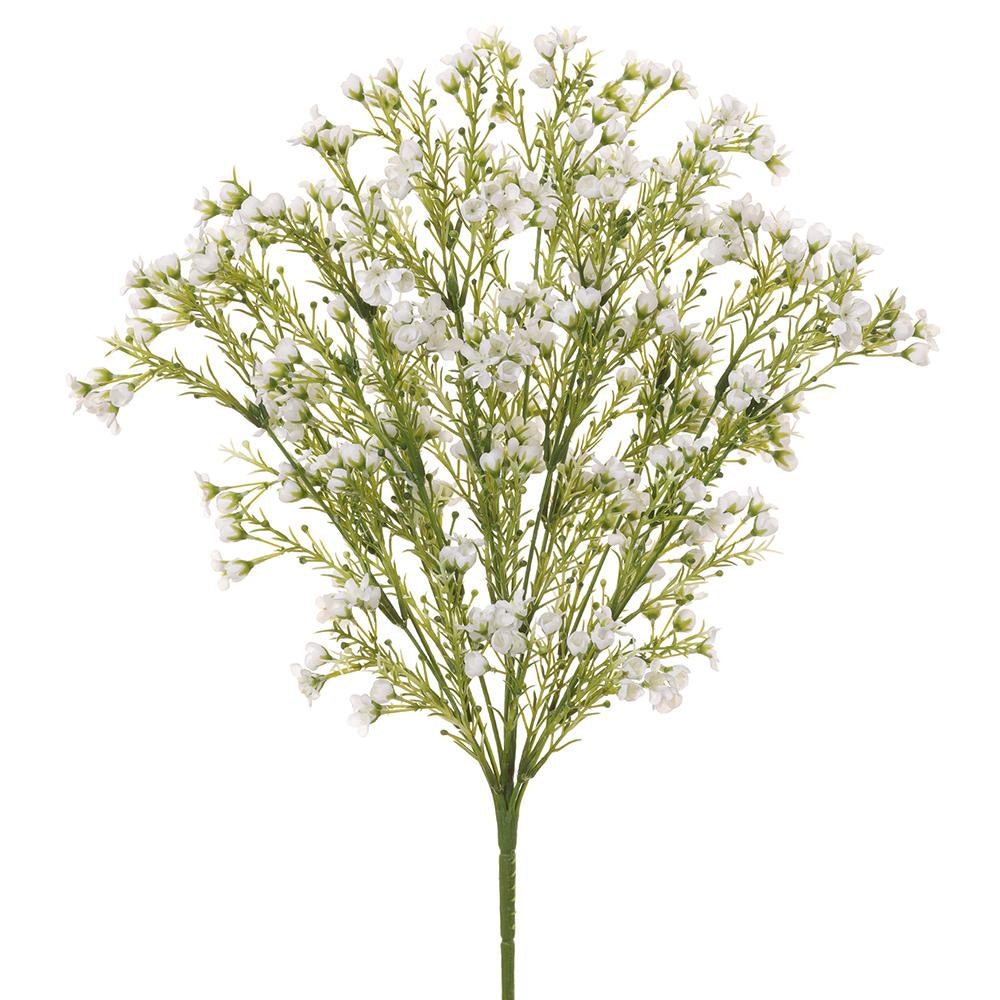 A detailed image of a single, vibrant AllState Floral And Craft 19" White Waxflower Bush stem, featuring numerous small white blossoms and fine green foliage, isolated on a white background in Scottsdale Arizona.