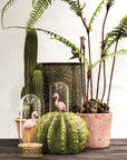A decorative display featuring the AllState Floral And Craft COLUMN CACTUS 26" with potted ferns and two glass domes holding pink flamingo figurines, arranged on a dark wooden surface against a light background.
