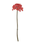The Abigail Ahern Sedum Coral features a single artificial red flower stem with numerous clustered blossoms and a long, straight greenish-brown stem, reminiscent of meadow flowers, isolated on a white background.