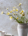 The Abigail Ahern Cosmos Meadow, Buttermilk features butter-hued and white daisies with green stems in a textured white vase, styled against a neutral background with a white cup and saucer partially visible.