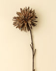The Indaba Dahlia Stem Russet features layered brownish petals and a thin stem, standing against a beige background—perfect as subtle accent decor.