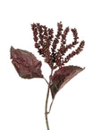 The Indaba Dripping Seed Stem is a lifelike artificial greenery with two large dark burgundy leaves and clusters of small maroon buds, resembling a faux botanical cascading seed stem, shown on a white background.