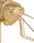 Close-up of the Grasshopper Gold sculpture by Creative Co-op, showcasing its metallic gold finish and detailed antennae, eyes, and legs against a white background.