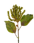 The Dripping Seed Stem by Indaba features three large, textured green leaves and clusters of small green buds, creating a striking faux botanical accent against a white background.