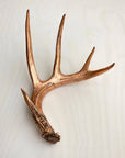 Bronze four-point antler accent on light wood by Faire, ideal for natural decor at Bungalow Furniture & Accessories.
