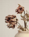 Brown dahlia spray by Faire displayed in a vase, minimal style, neutral background.