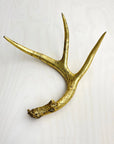Gold three-pointed antler decor by Faire, perfect for coffee tables or light wood surfaces.