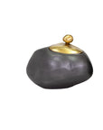 The Finkle Box by The Import Collection is a small, irregularly shaped dark gray container with a rounded gold-colored lid and knob, resembling a smooth stone with metallic accent—perfect for contemporary design lovers. Set on a white background.
