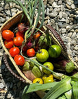 The Faire Gardener Long Basket, handmade in Morocco from ethically-sourced palm leaves, holds fresh tomatoes, green tomatoes, onions, and eggplants on a bed of sunlit gravel.