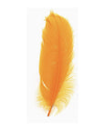 The Faire Feathers product features a single bright orange feather with delicate, wispy edges displayed against a plain white background.
