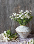 The Hellebore Bunch in White by Abigail Ahern sits in a rustic vase with green foliage; nearby, additional stems rest on lace over a patterned surface, all arranged before a wooden backdrop.