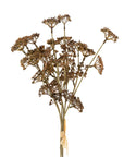 The Meadow Grass Bouquet by Indaba features earthy brown dried stems tied at the base, isolated on white—perfect as faux botanical decor.