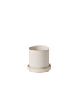 The Accent Decor 50735 Morse Pot w/Saucer is a small, light beige ceramic planter featuring a subtle textured design, drainage hole, and matching shallow saucer, shown on a plain white background.