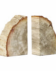 Indonesian petrified wood bookends with flat sides and visible tree rings by Blue Ocean Traders.