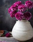 A white ceramic vase displays Abigail Ahern's Purple Carnation with ruffled petals, arranged elegantly on a rustic surface alongside books and a fallen bloom, standing out against a dark background.