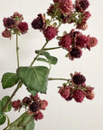 A close-up of Faire's Faux Raspberry Stem showcases lifelike, textured berries with darker tips and green leaves. Clusters of reddish-purple fruit stand out against a light background—an ideal accent for home décor.