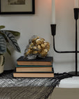 Accent Decor’s Reaper Pot, a silver skull planter filled with gold-wrapped chocolates, sits atop books and lace beside a black candleholder, white candles, and leafy plant—ideal for witchy decor or a spooky planter display.