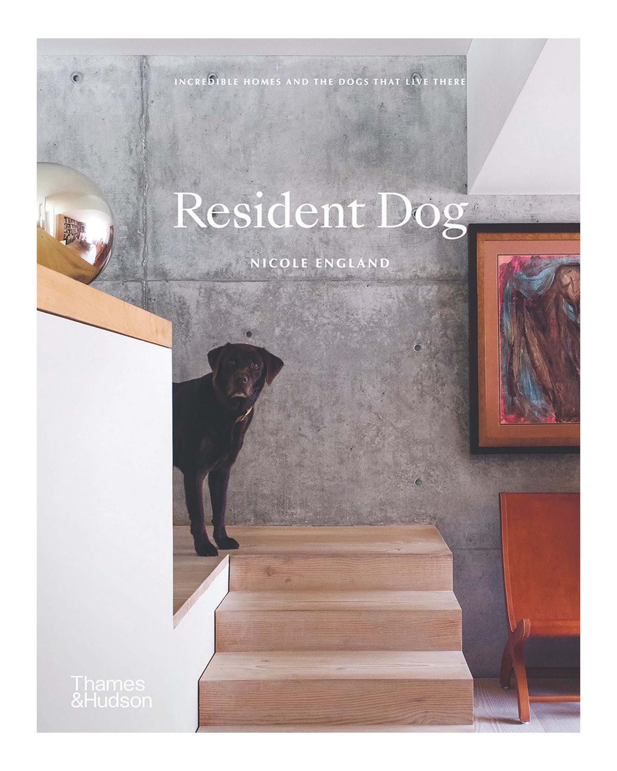 A black dog stands on wooden stairs in a chic home with modern art and bold design. The book "Resident Dog" by Nicole England, from W.W. Norton & Co., is featured in the image.