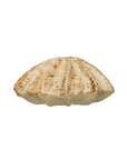 The Creative Co-op AH2858 Stoneware Shell Shaped Vase features a large beige and brown ridged clam shell design, perfect for coastal home decor. Displayed on a white background.