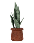 The Abigail Ahern Artificial Snake Plant in Pot features tall, pointed green leaves and comes in a textured reddish-brown container. Low maintenance and compact, it brings stylish greenery to any space.