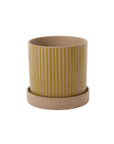The Sulllivan Pot & Saucer S by Accent Decor is a beige striped plant pot featuring vertical yellow accents and a matching natural bisque saucer, shown on a white background.