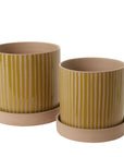 Accent Decor’s Sulllivan Pot & Saucer S features a simple, modern design with vertical yellow-green stripes on beige and includes a matching natural bisque saucer. One striped ceramic planter is larger and taller than the other.