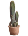 The AllState Floral And Craft COLUMN CACTUS 15.5" features tall green faux stems in a terra-cotta pot with pebbles, ideal for desert-inspired décor and shown isolated on a white background.