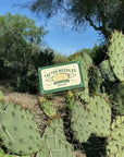 A rectangular sign reading "Cactus Needle Toothpicks" by Faire is attached to a green prickly pear cactus with sharp spines outdoors—ideal for wild west party decor or as a quirky Southwest souvenir.