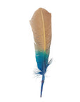 The Faire Ombre Turkey Feathers in Dark Turquoise feature a light brown top blending into vivid blue and green hues, reminiscent of quill feathers, shown against a white background.