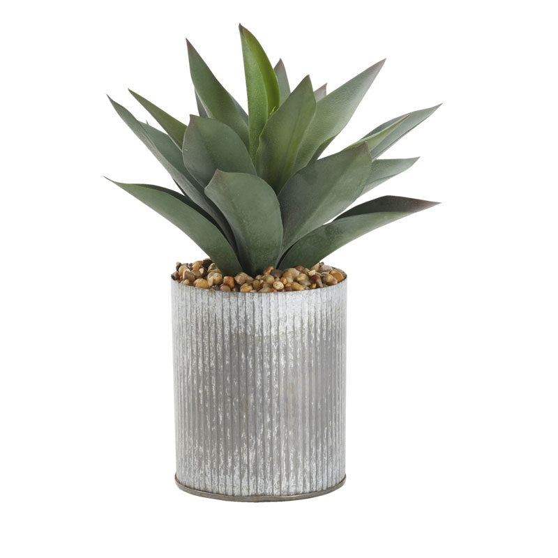 A 12" Aloe Plant in Zinc Vase by D&W Silks with thick, green leaves in a textured silver pot filled with small pebbles. The plant is centered against a white background at a Scottsdale, Arizona bungalow.