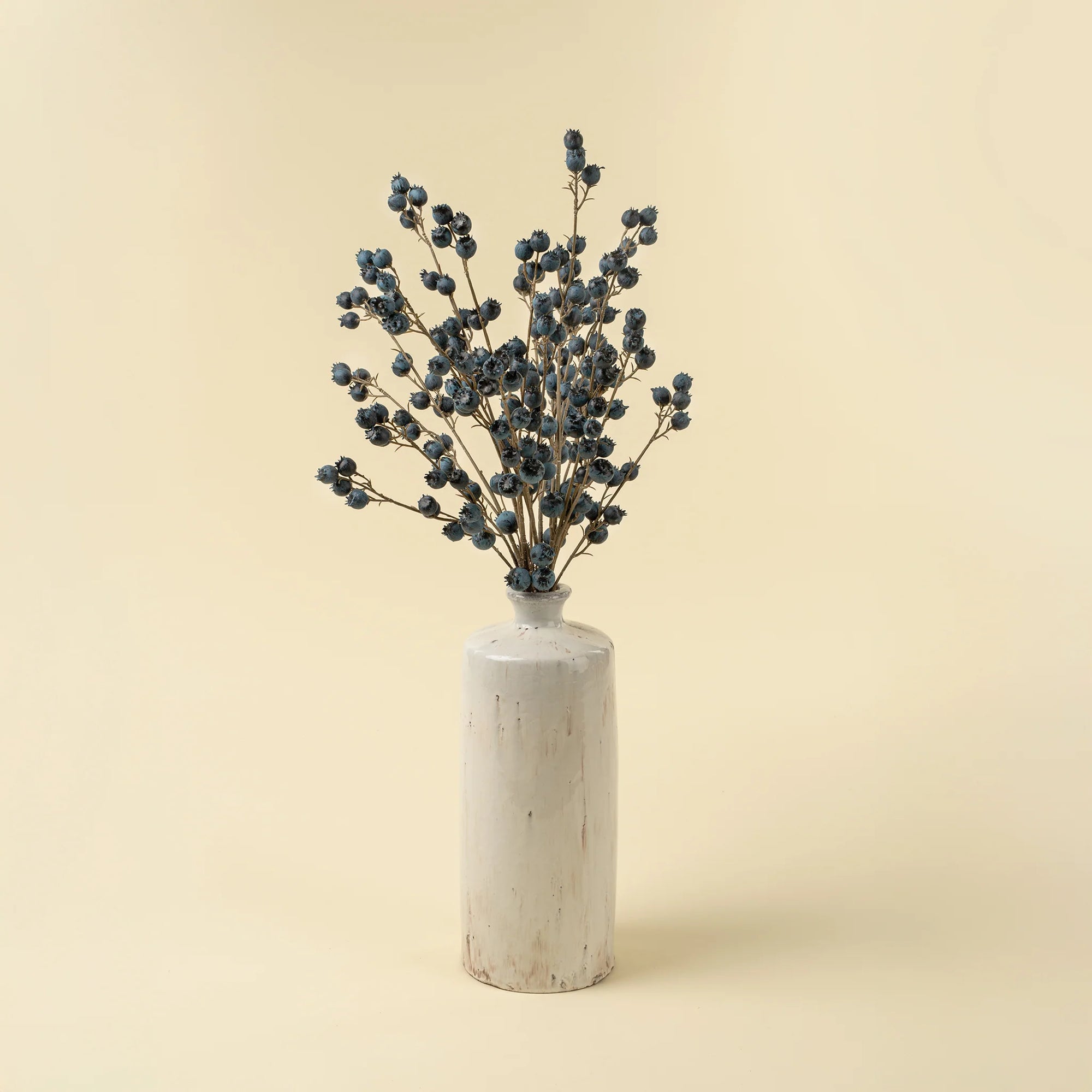 The Indaba Blueberry Branch is arranged minimally in a tall white ceramic vase, creating striking accent decor against a pale beige background.