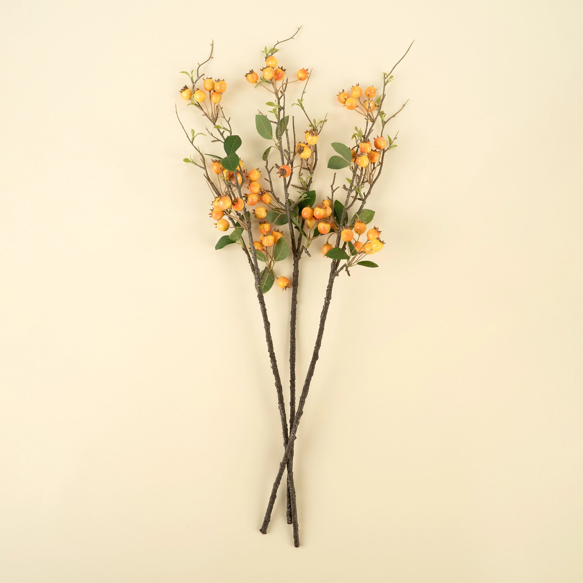 Tall rosehip branches with orange stems, berries, and leaves by Bungalow Furniture on a beige background.