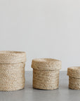 Three Faire Round Lidded Jute Baskets in assorted sizes, featuring a natural beige hue and textured finish, are lined up on a gray surface with a plain white background.