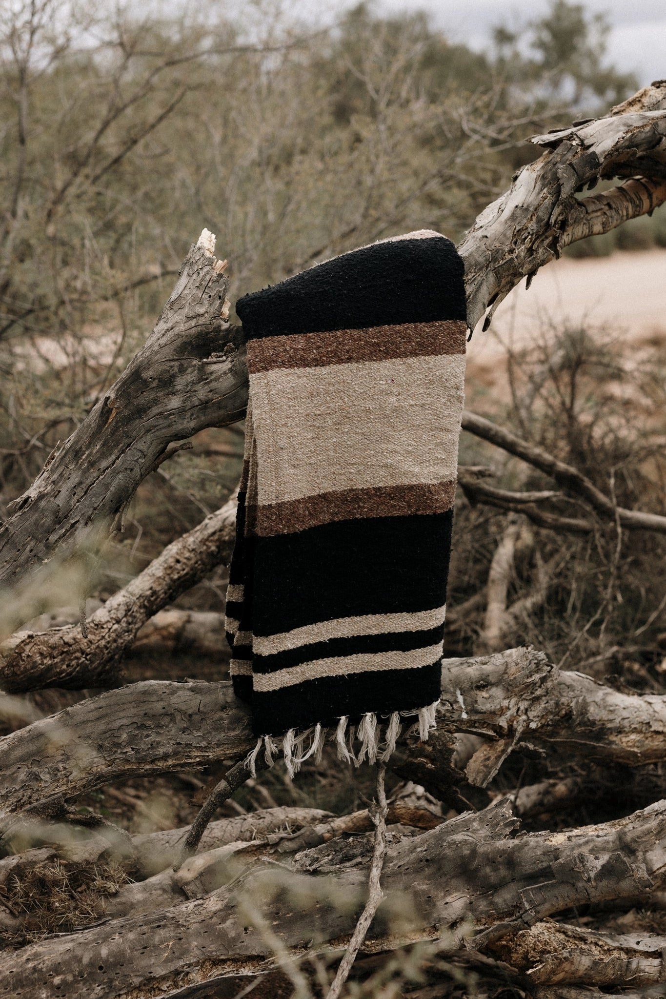 The TT Handwoven Blanket by Faire, featuring black, brown, and beige stripes, is draped over a weathered tree branch in a dry, brush-filled outdoor setting.