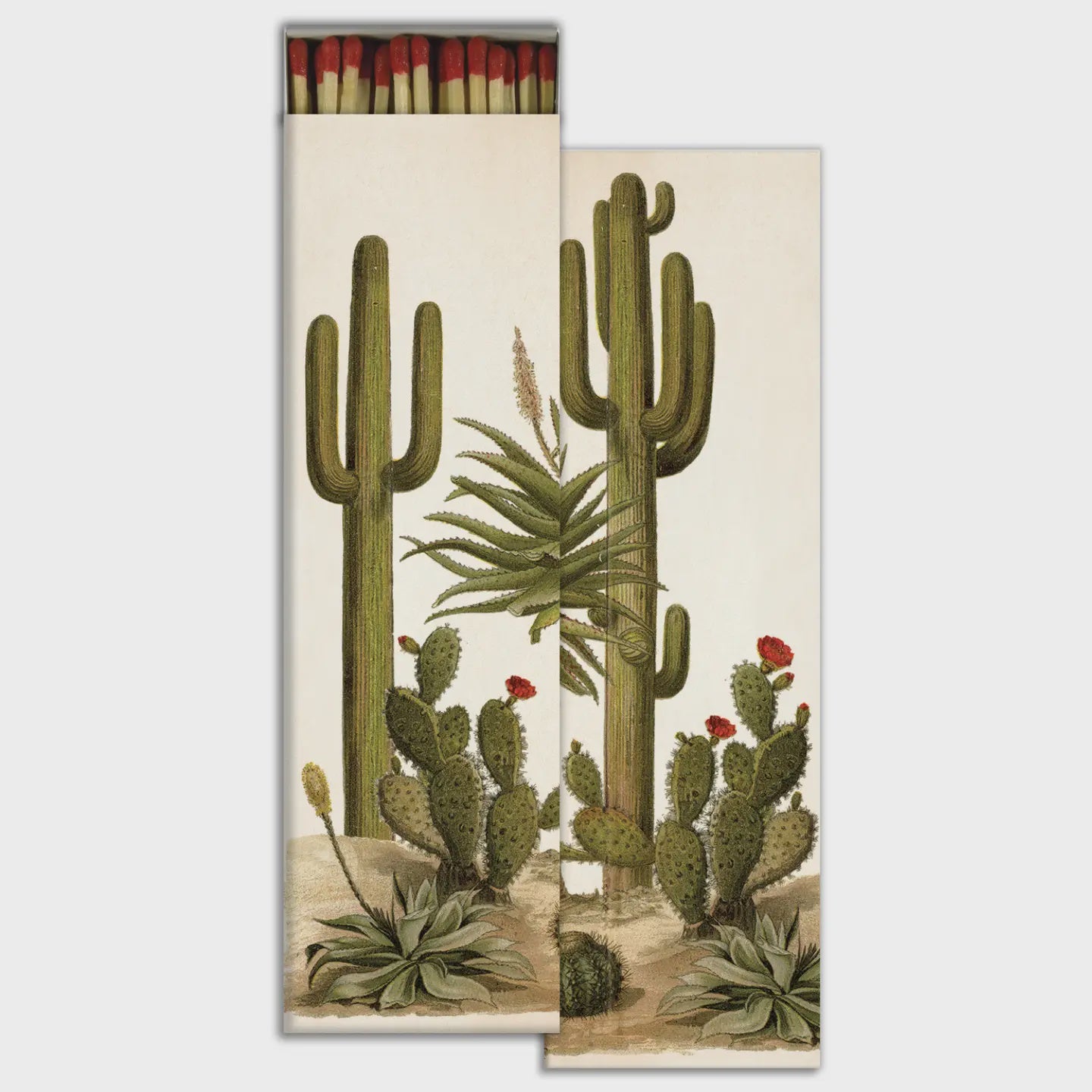 The HomArt Matches feature a vintage botanical design of tall cacti and succulents on the matchbox. Inside, the red-tipped safety matches complement the earthy desert plant artwork, adding a graphic decor touch to any space.