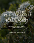 Close-up of white wildflowers with green stems. Overlaid text: "Faire Hand Wash Charlevoix Boreal—smells like a northern boreal forest. Microbiome-friendly blend: balsam fir, white & black spruce, with Labrador tea and citrus notes.