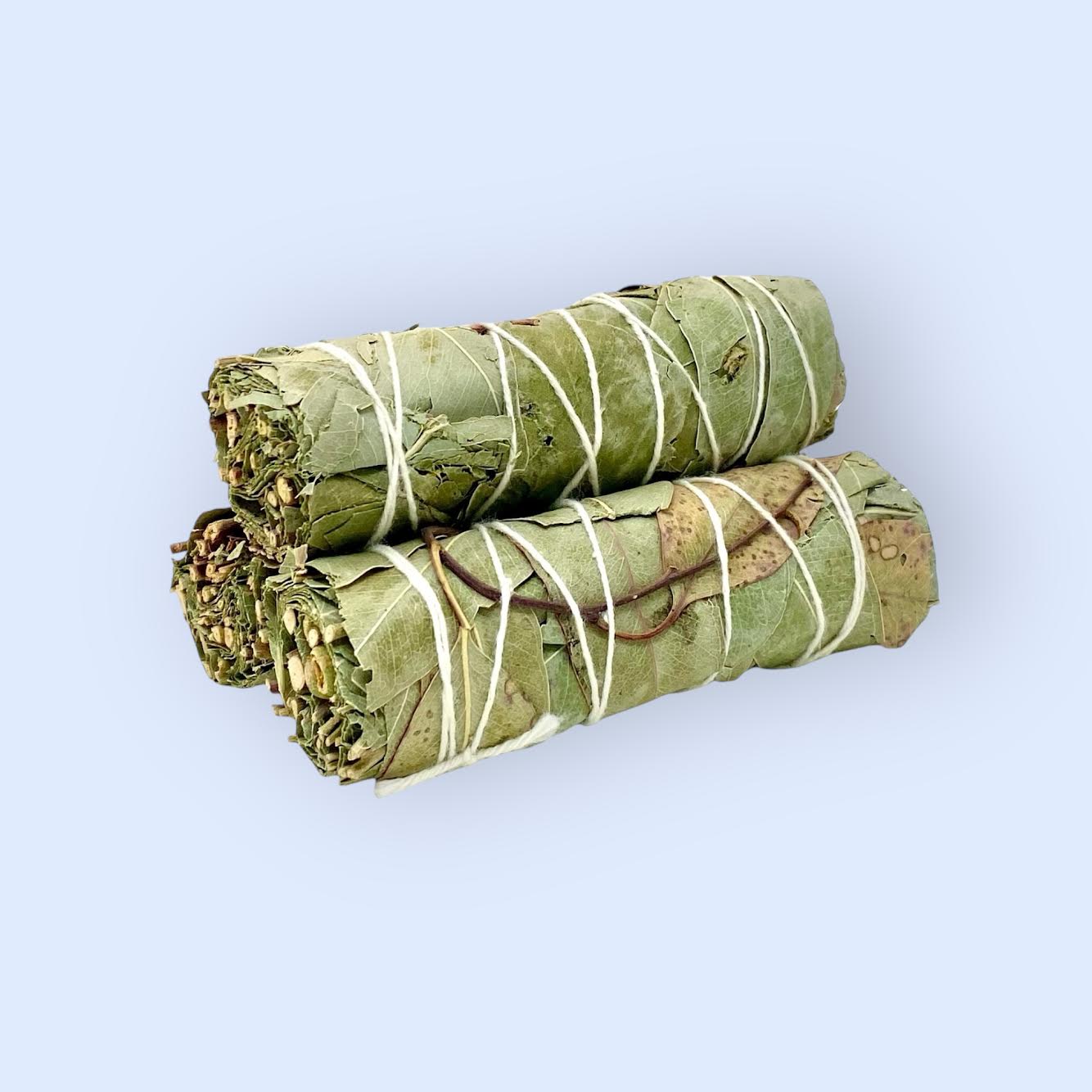 Two Faire Eucalyptus Smudge bundles, tightly wrapped with white string, rest on a light blue background—ideal for eucalyptus cleansing rituals.